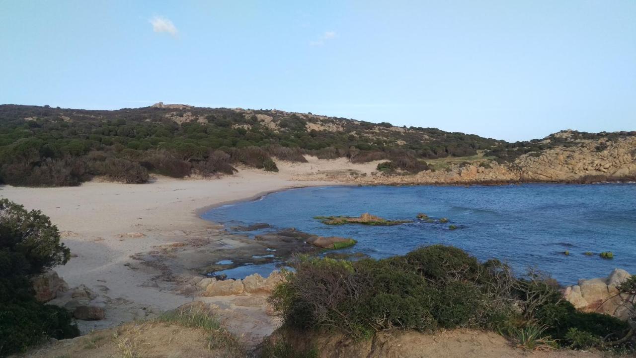 Chia casa mare vacanze Sterlizia Villa Esterno foto